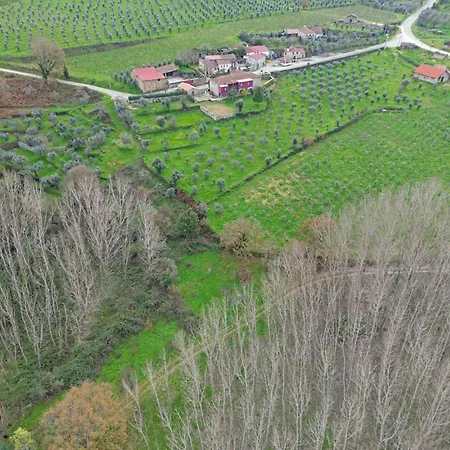 Casa De Vilar